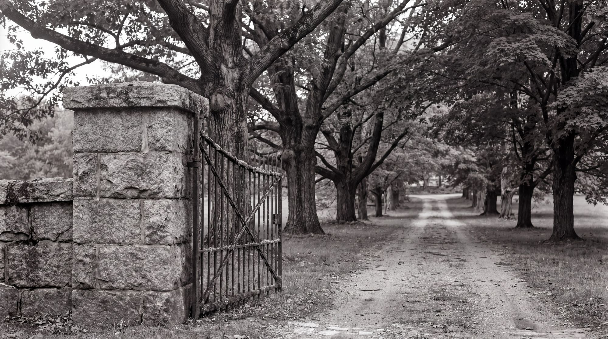 A stone gatepost and iron gate at the head of the tree-lined drive